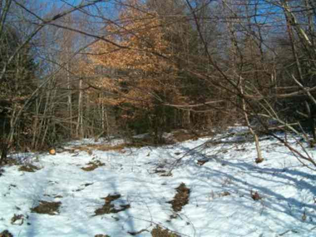 0 Truax Road Summit, NY 12175 - Photo 3 of 5 Photo 3