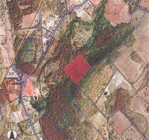 0 Truax Road Summit, NY 12175 - Photo 4 of 5 Photo 4