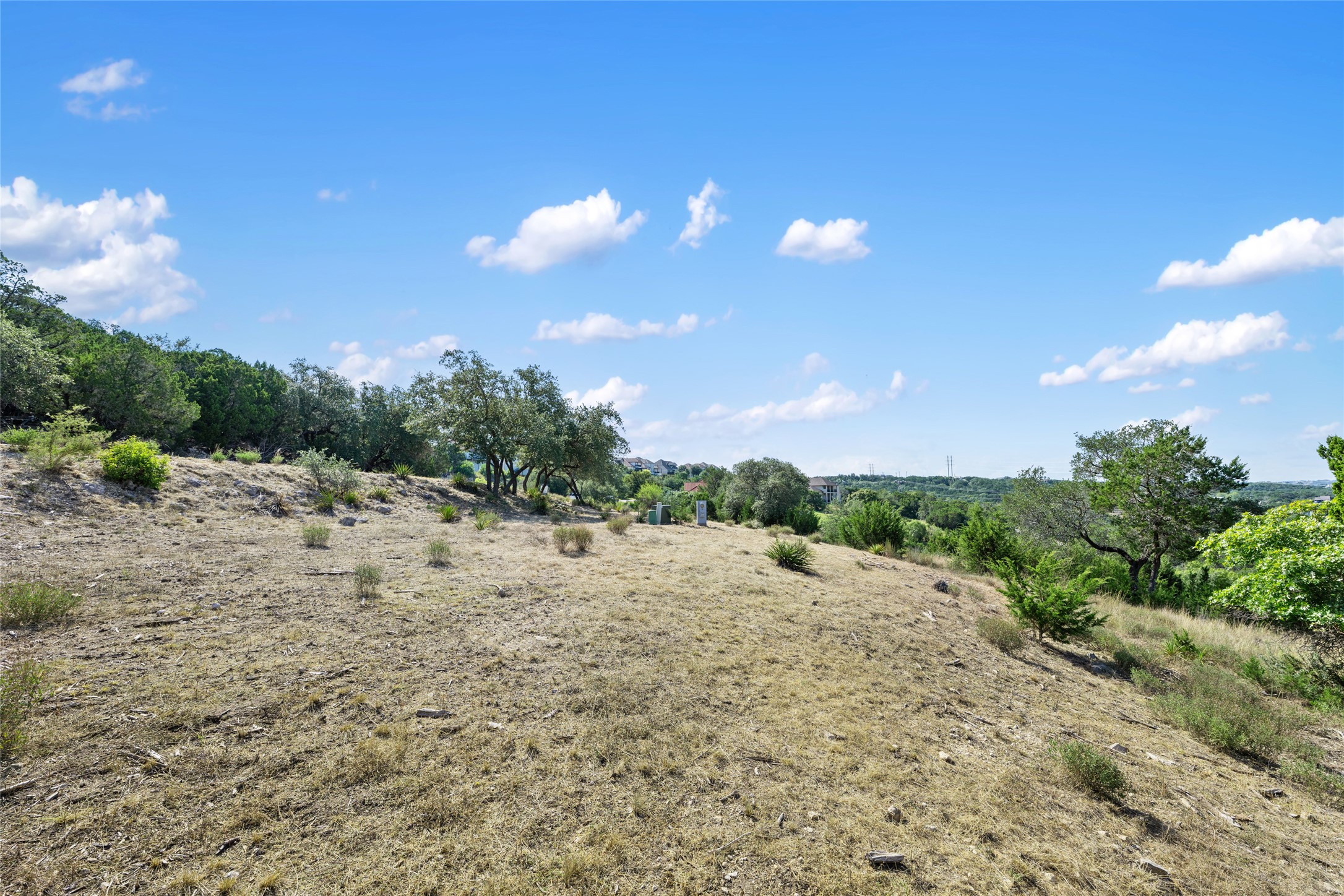 2804 Lakehurst Road Spicewood, TX 78669 - Photo 9 of 18