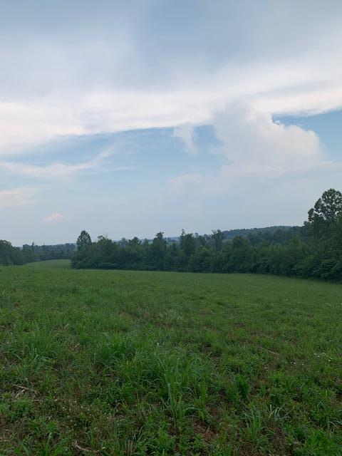706 Montgomery Road Wellington, KY 40387 - Photo 12 of 20 IMG_4242