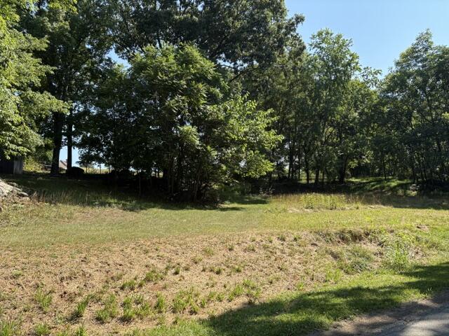 1135 Taylor Mountain Road Thaxton, VA 24174 - Photo 6 of 38 IMG_4702