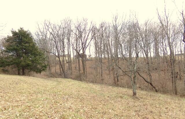 800 Eckler Road Dry Ridge, KY 41035 - Photo 26 of 50
