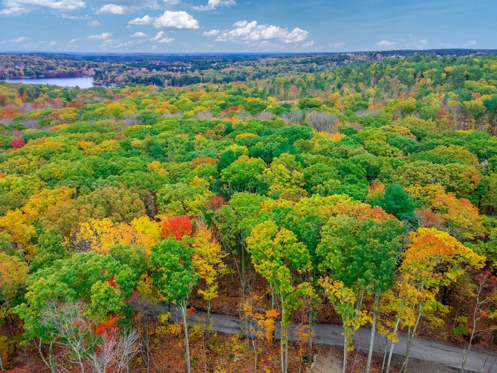 0 Ledgestone Road Douglas, MA 01516 - Photo 1 of 9 a view of a yard