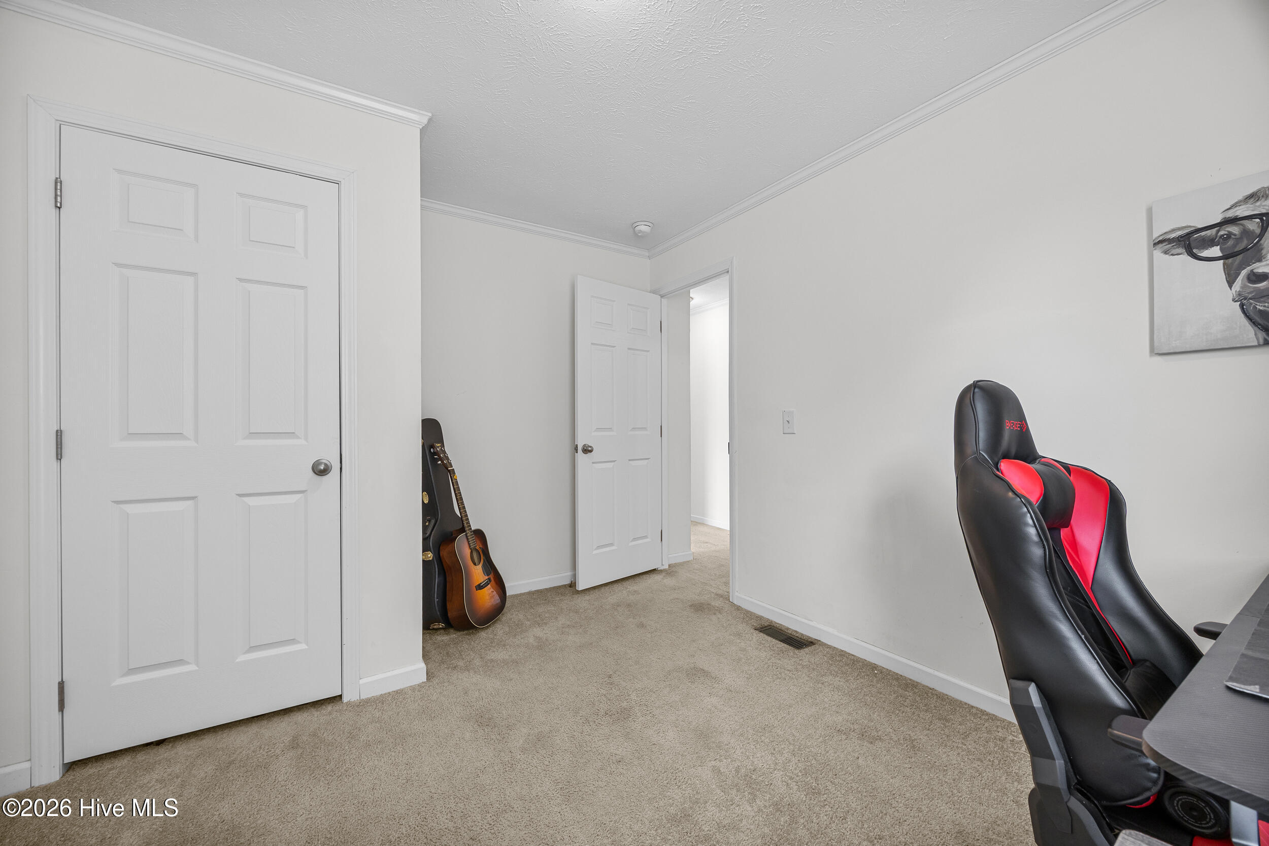 177 Turkey Branch Road Beulaville, NC 28518 - Photo 23 of 32