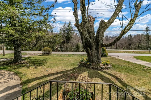 a view of a backyard with a large tree