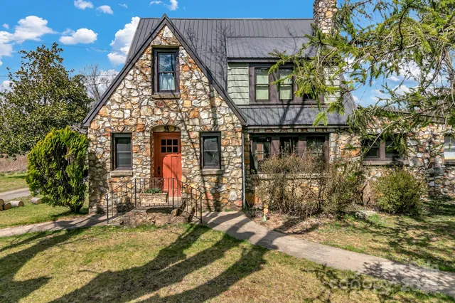a view of a yard with plants and large trees