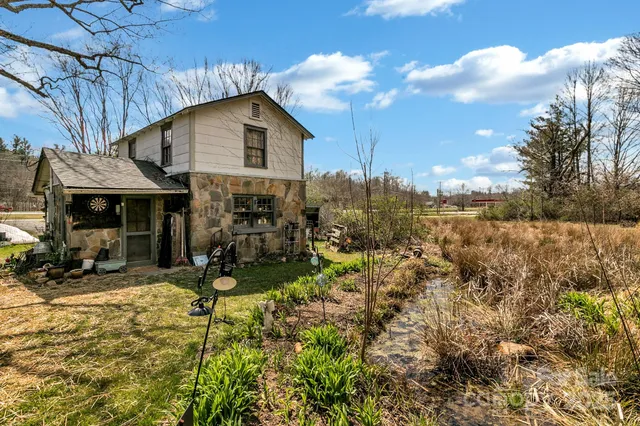 a view of a garden with a tree