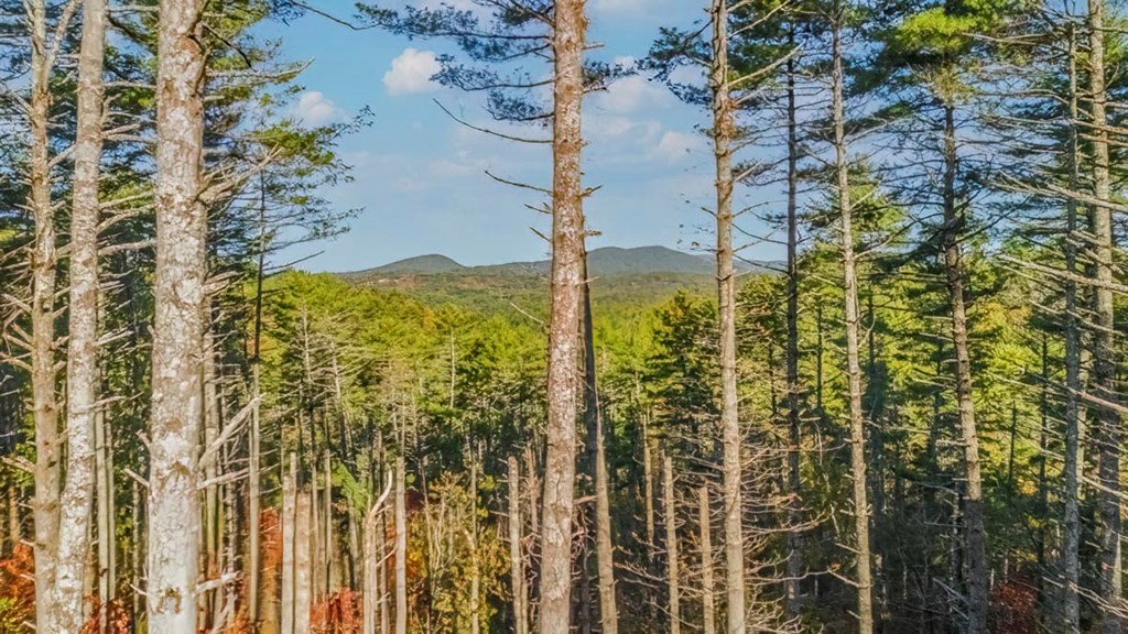 106 Still Run Morganton, GA 30560 - Photo 16 of 55