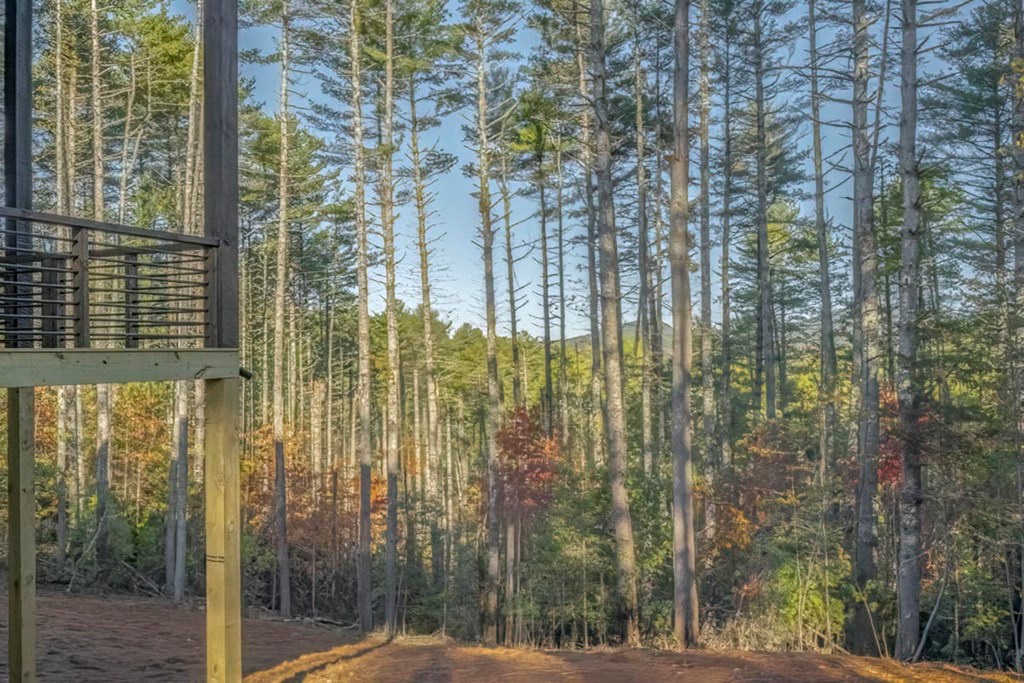 106 Still Run Morganton, GA 30560 - Photo 22 of 55