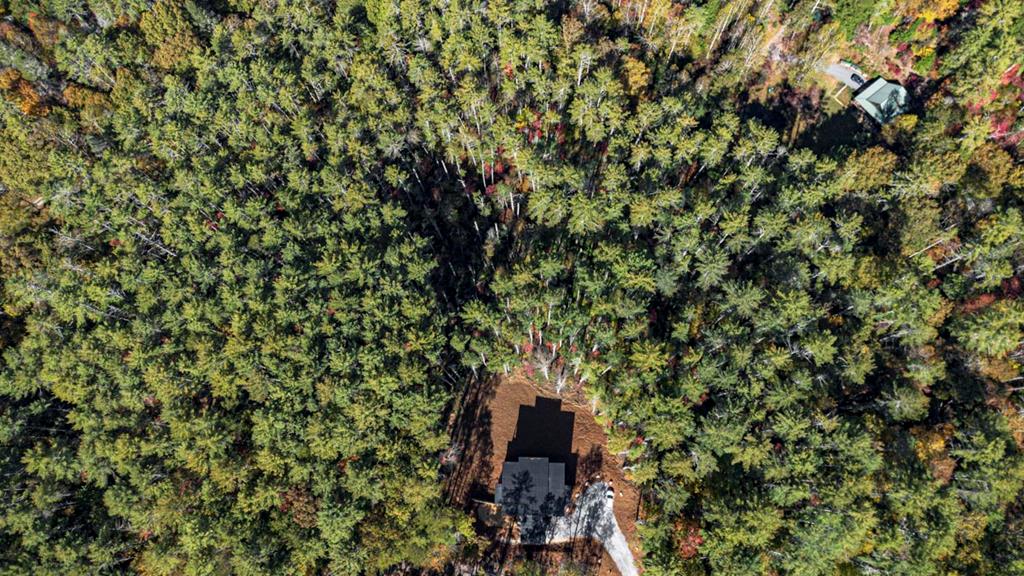 106 Still Run Morganton, GA 30560 - Photo 23 of 55