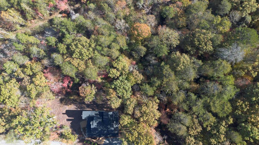 106 Still Run Morganton, GA 30560 - Photo 52 of 55