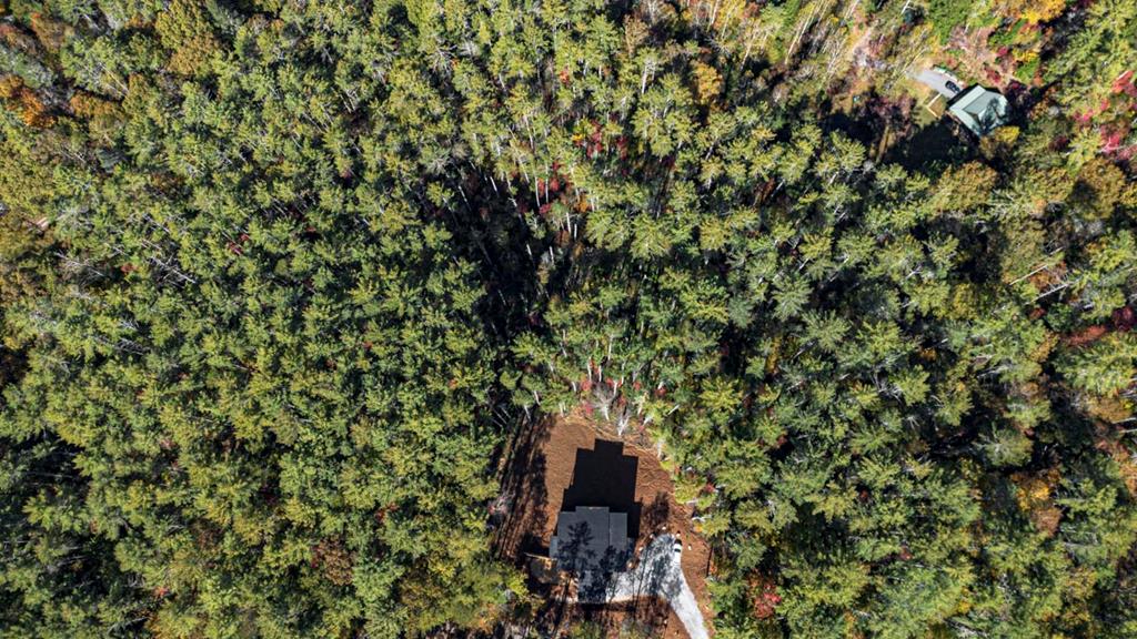 106 Still Run Morganton, GA 30560 - Photo 55 of 55