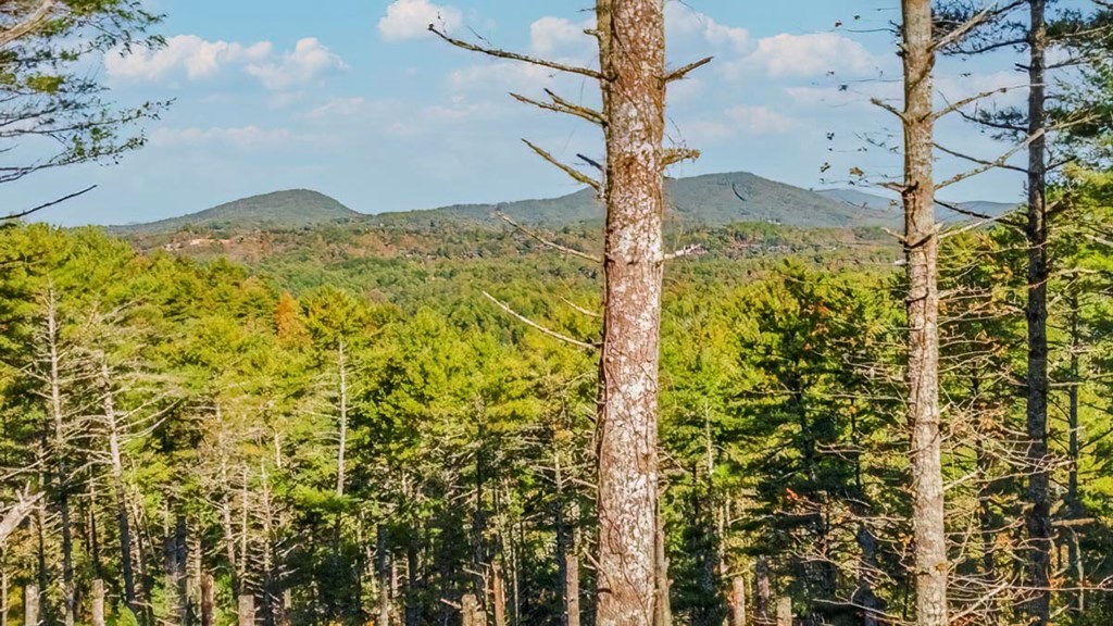 106 Still Run Morganton, GA 30560 - Photo 6 of 55