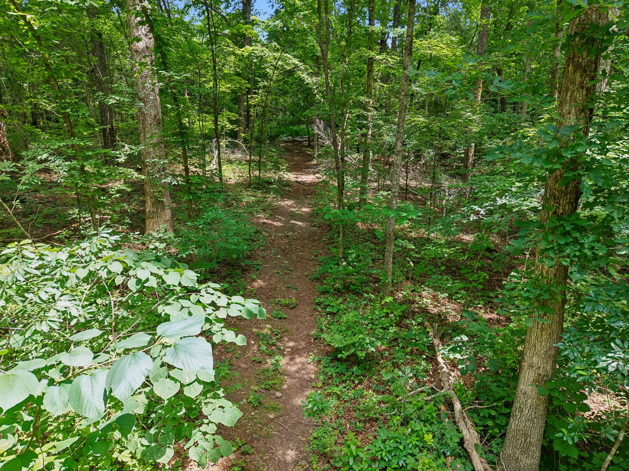 7368 Walker Road Fairview, TN 37062 - Photo 65 of 74