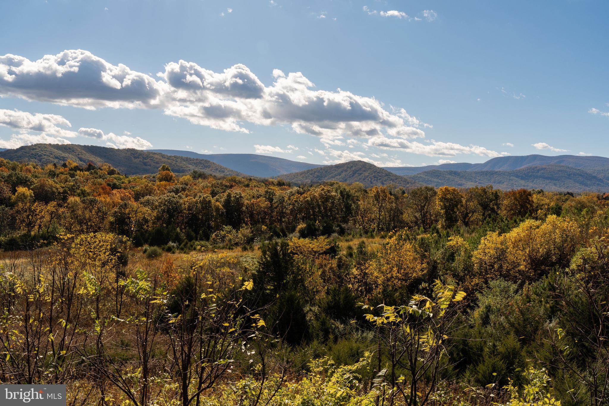 461 Thunderbird Road Bentonville, VA 22610 - Photo 11 of 14