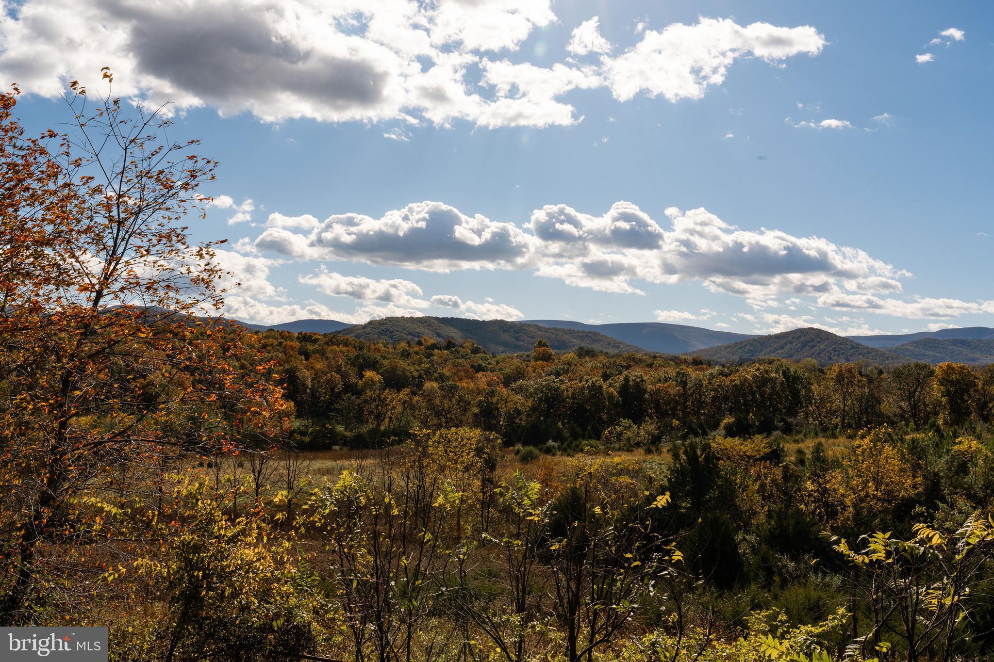 461 Thunderbird Road Bentonville, VA 22610 - Photo 12 of 14