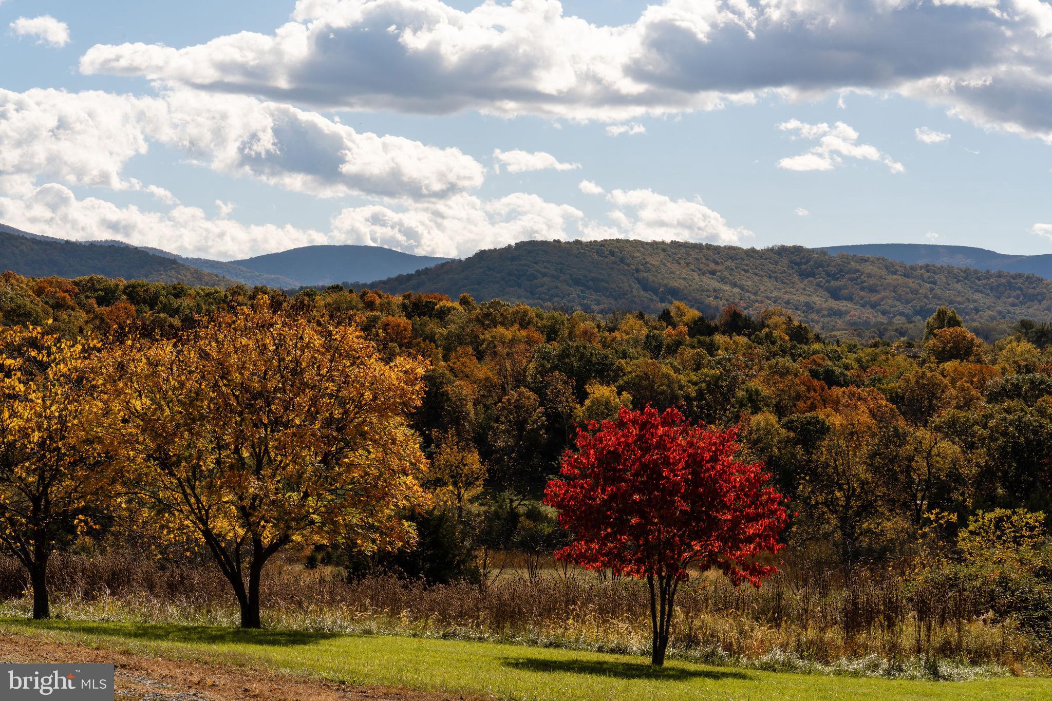 461 Thunderbird Road Bentonville, VA 22610 - Photo 13 of 14