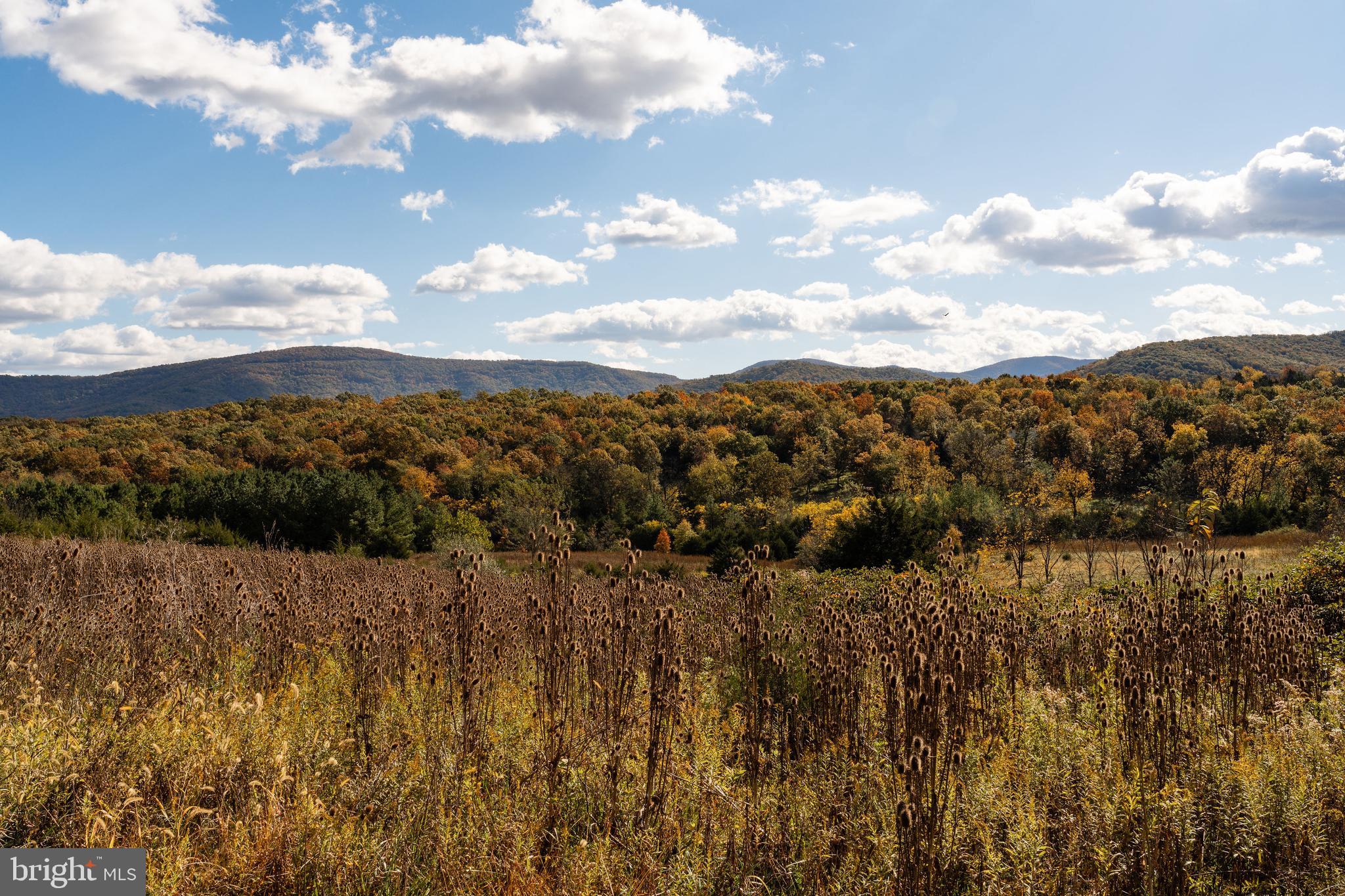 461 Thunderbird Road Bentonville, VA 22610 - Photo 3 of 14