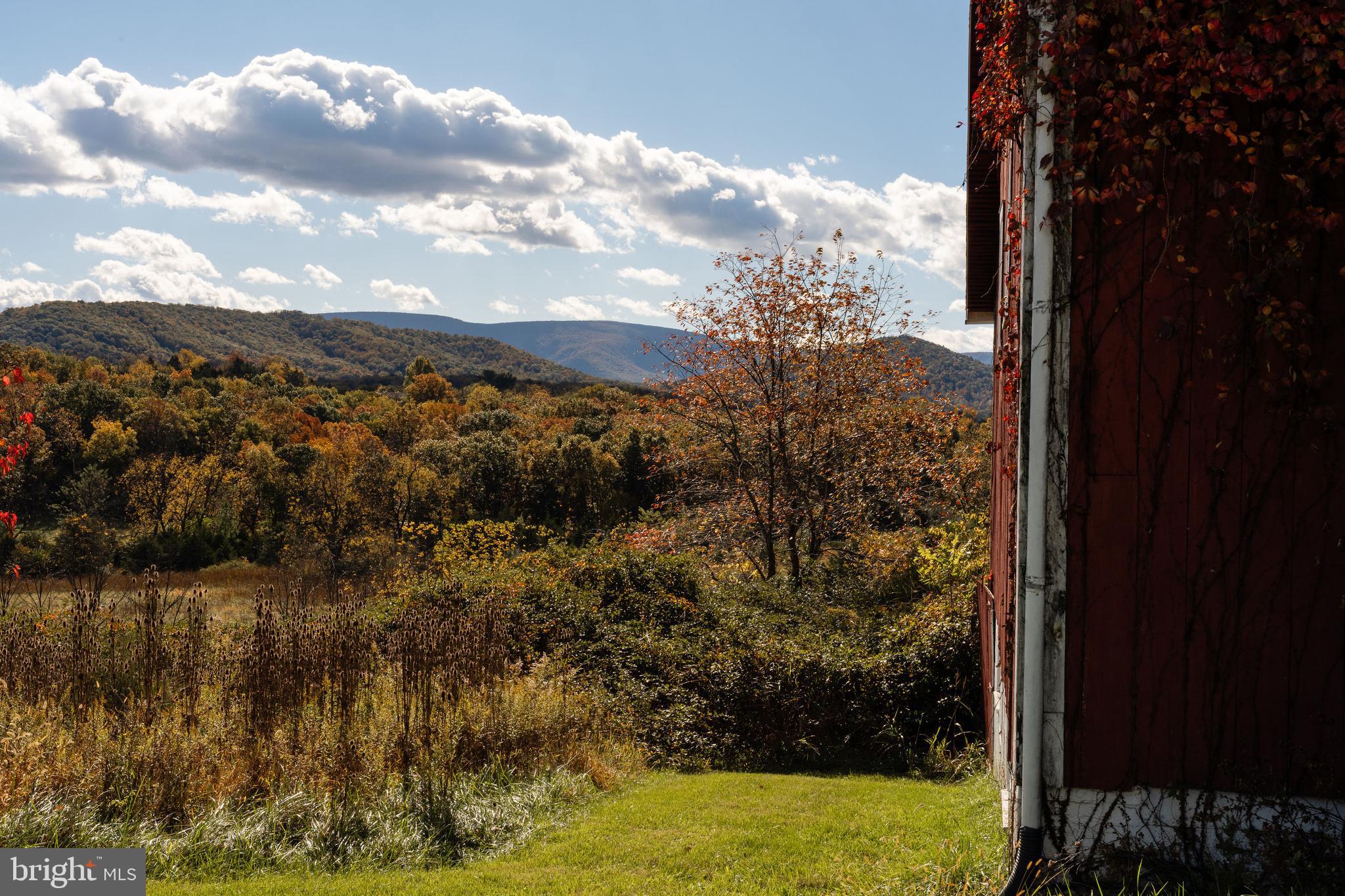 461 Thunderbird Road Bentonville, VA 22610 - Photo 5 of 14