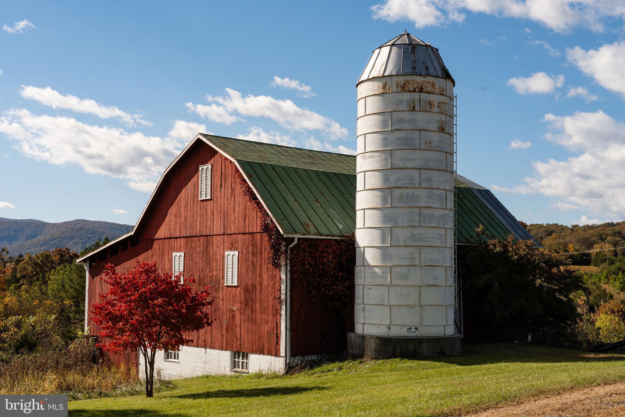 461 Thunderbird Road Bentonville, VA 22610 - Photo 6 of 14