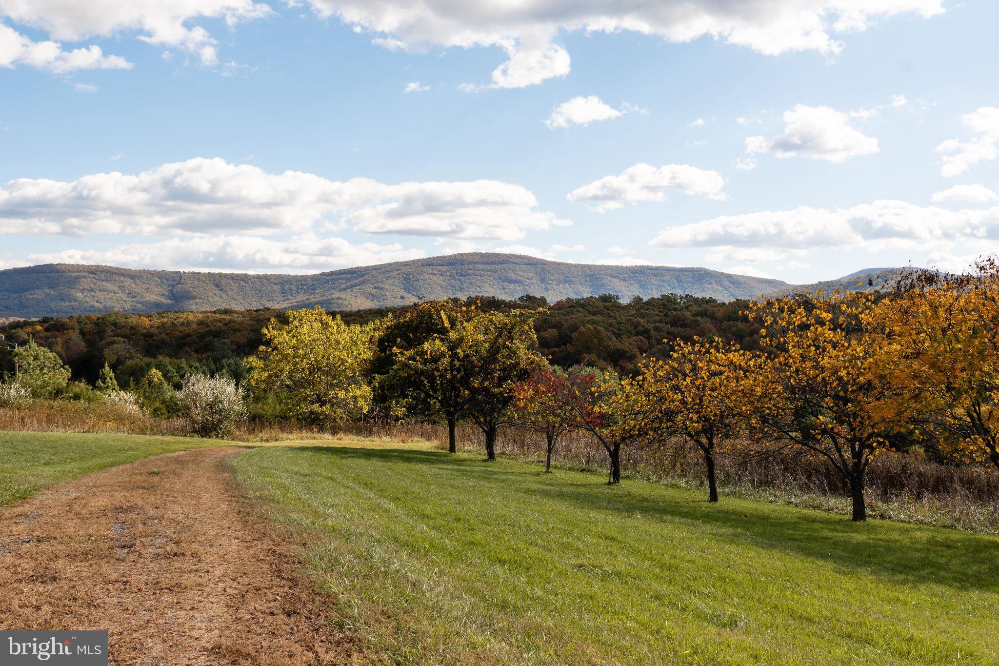 461 Thunderbird Road Bentonville, VA 22610 - Photo 8 of 14