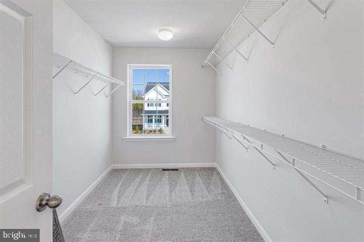 6318 Pointer Lane King George, VA 22485 - Photo 26 of 49