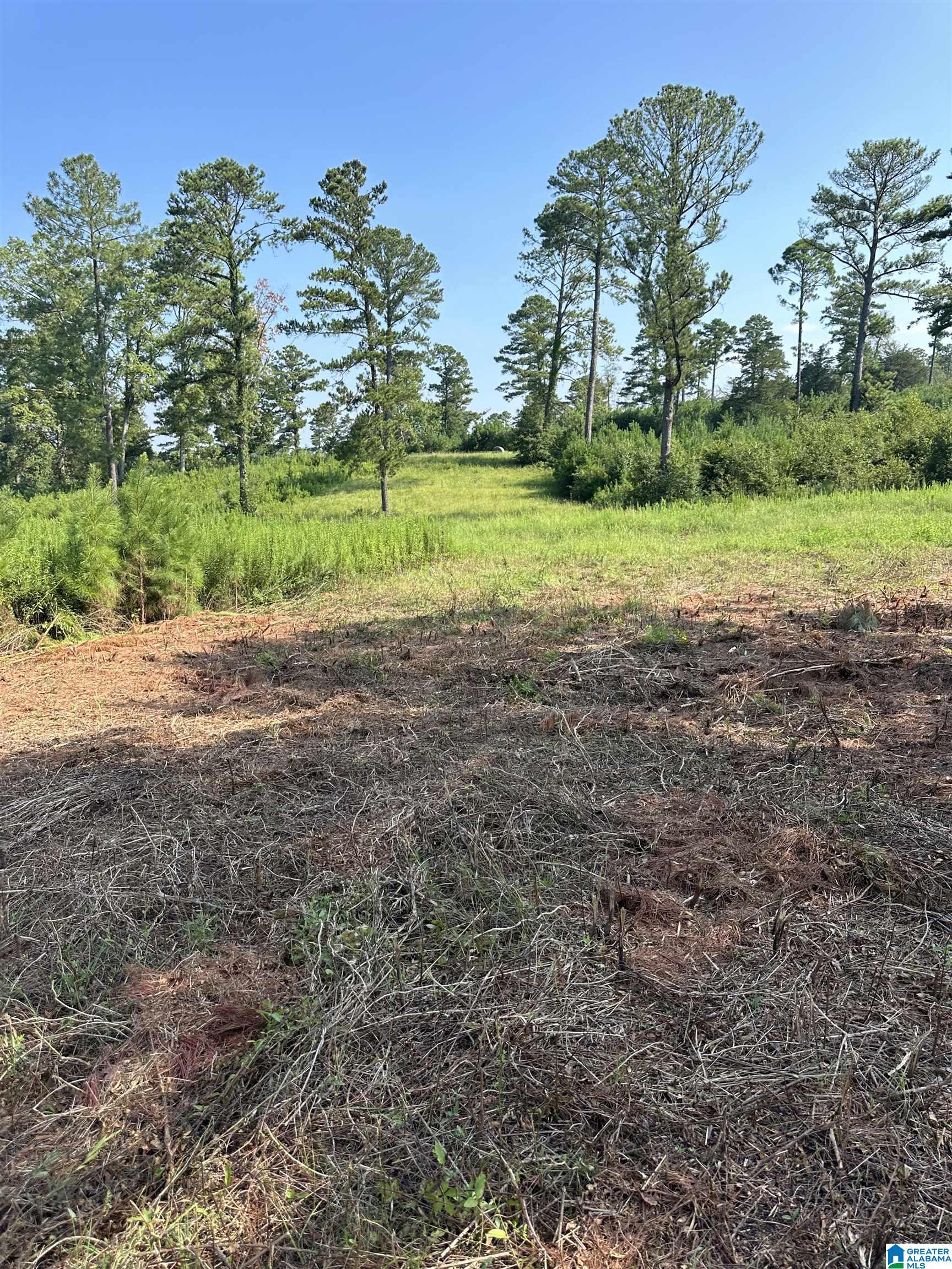 3100 Easonville Road, Unit 7 Pell City, AL 35128 - Photo 7 of 8
