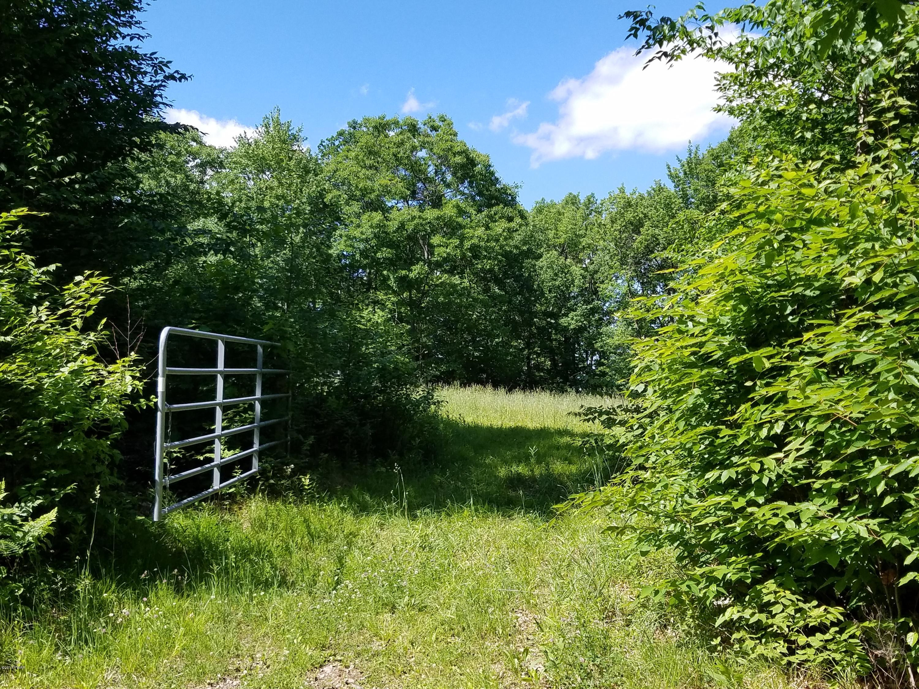 Columbia Lake Road Deposit, NY 13754 - Photo 1 of 5