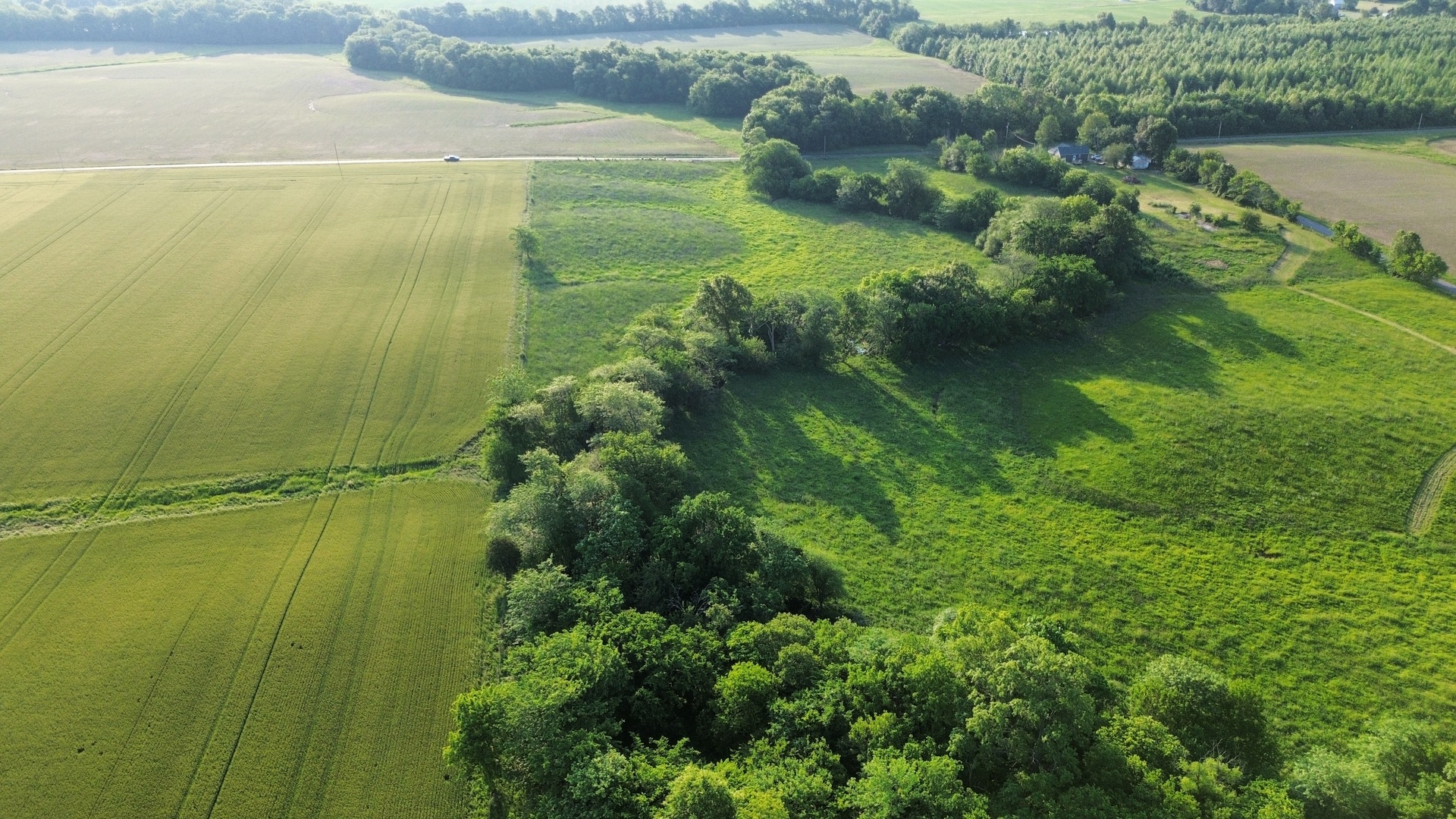 0 County Highway 29 Road Rinard, IL 62878 - Photo 4 of 28