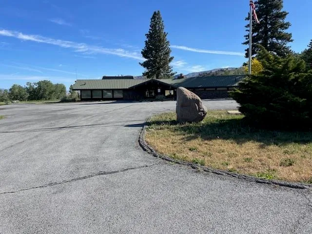 a view of a yard in front of a house