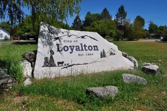 a view of a garden with swimming pool