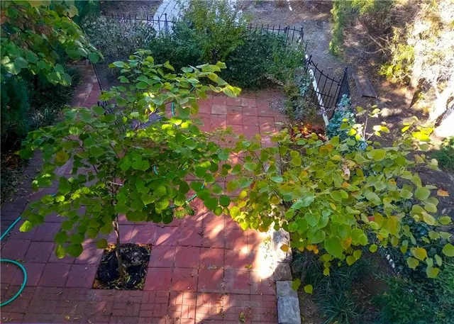 $249,900 | 702 South Spruce Street, Coffeyville, KS 67337