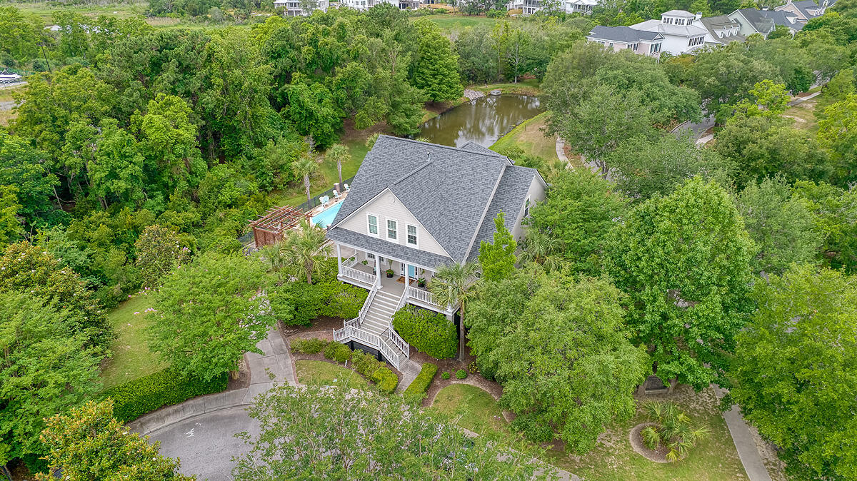 701 Netherton Court Charleston, SC 29492 - Photo 67 of 69 Tree and Pond Privacy