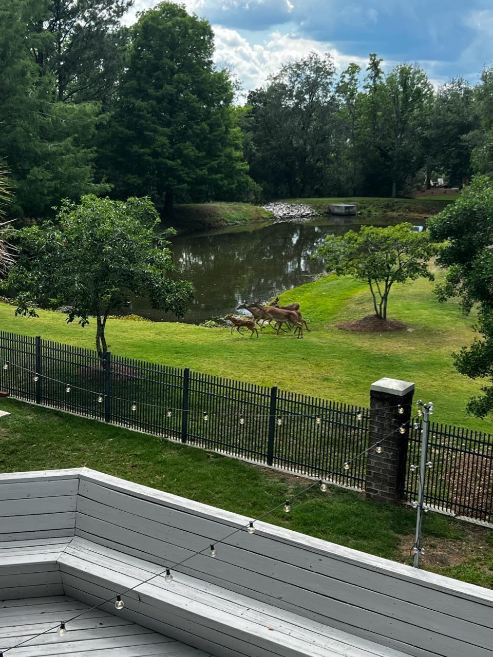 701 Netherton Court Charleston, SC 29492 - Photo 69 of 69 Beautiful Wildlife Scenery