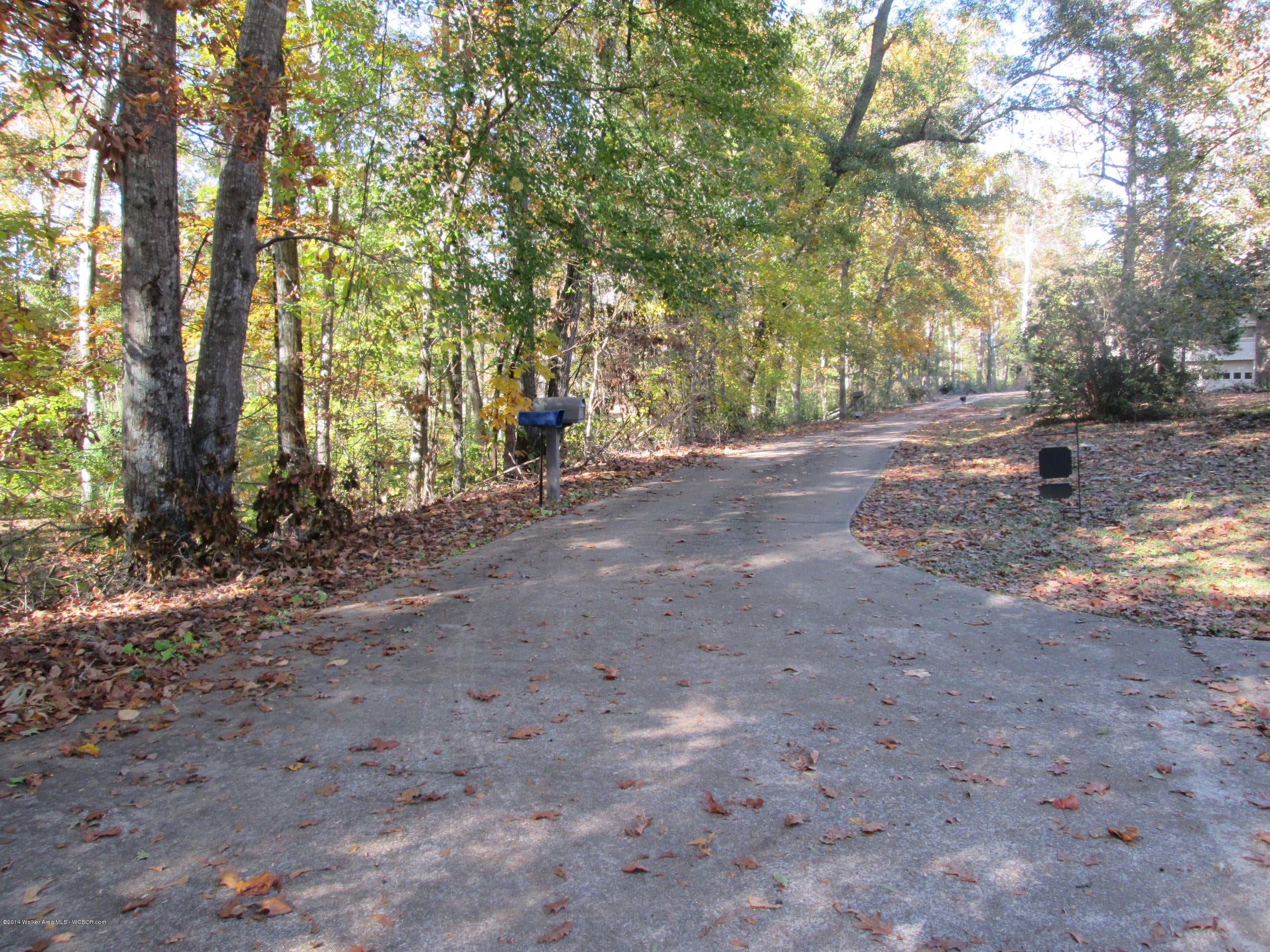 176 Kendrick Road Eldridge, AL 35554 - Photo 5 of 18 Gallery Image 5