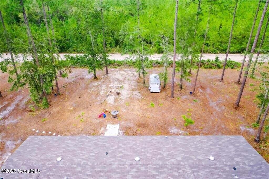 2101 Albert Gibson Road Hortense, GA 31543 - Photo 15 of 39 Back Yard