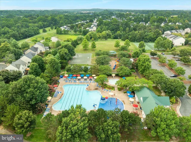 a swimming pool with lots of tress in front of it