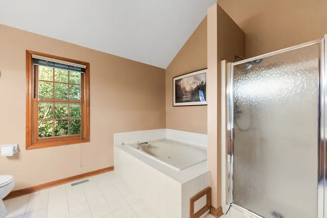 a view of a garden with a tree