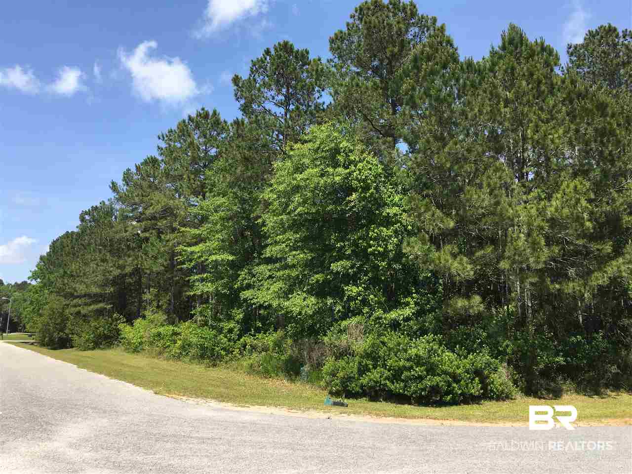 37 Millhouse Road Gulf Shores, AL 36542 - Photo 3 of 7 View Down Beatrice