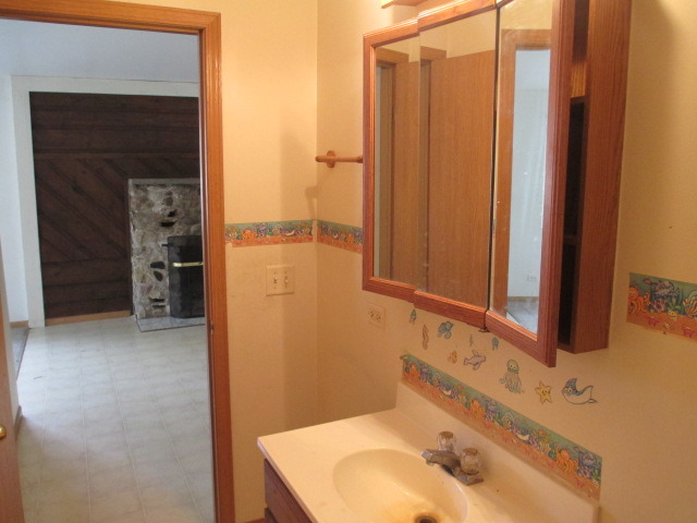 35322 North Wilson Road Ingleside, IL 60041 - Photo 8 of 18 a bathroom with a sink and a mirror