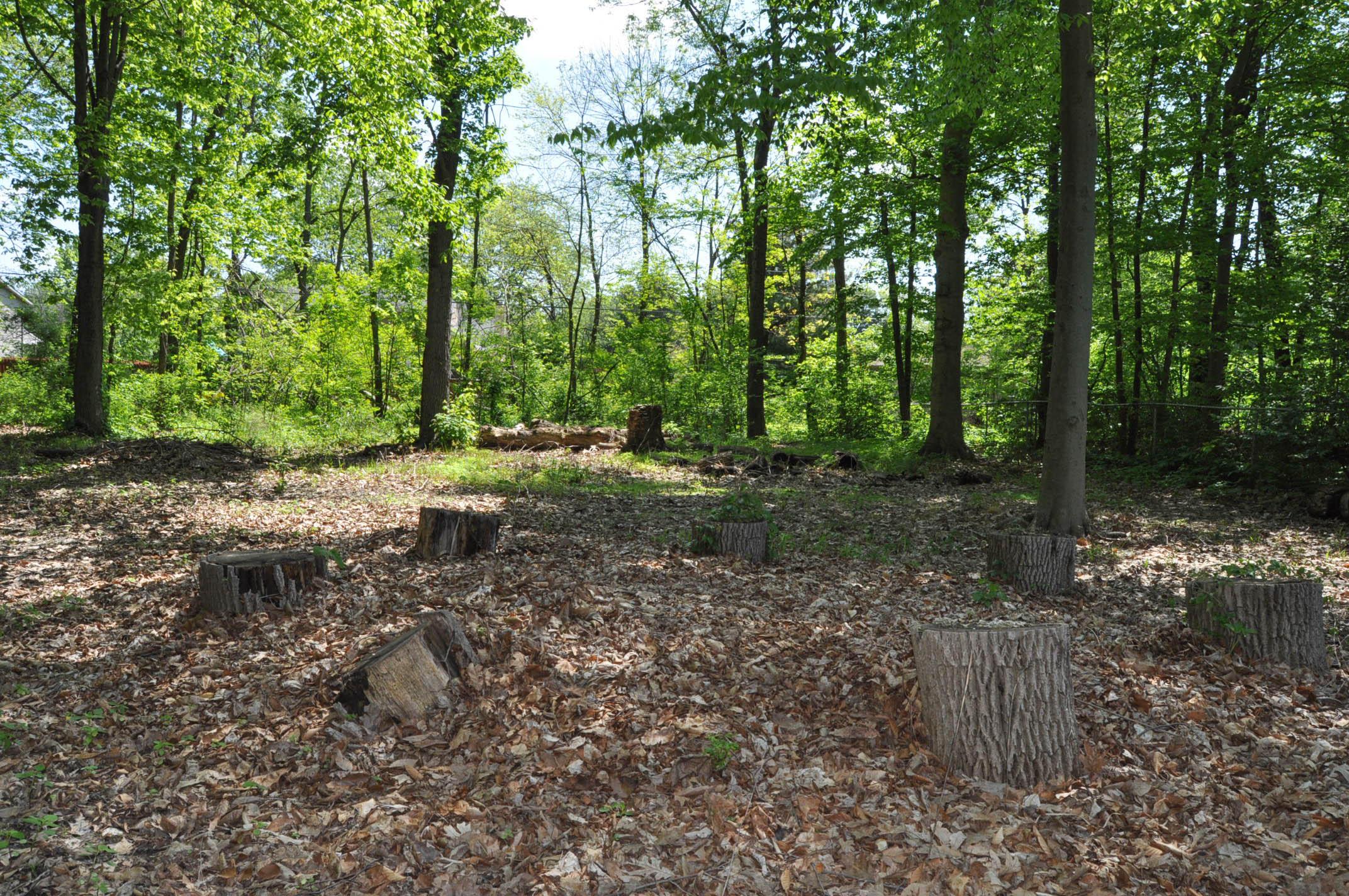 13962 Olde Post Road Pickerington, OH 43147 - Photo 32 of 36 Gallery Image 32