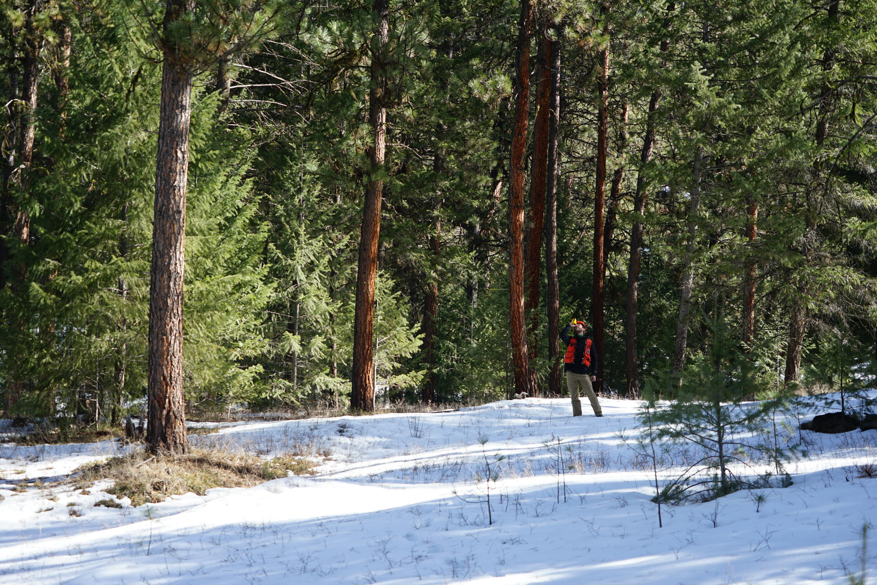 Franks Creek Road Monument, OR 97864 - Photo 6 of 29 7DSC04932
