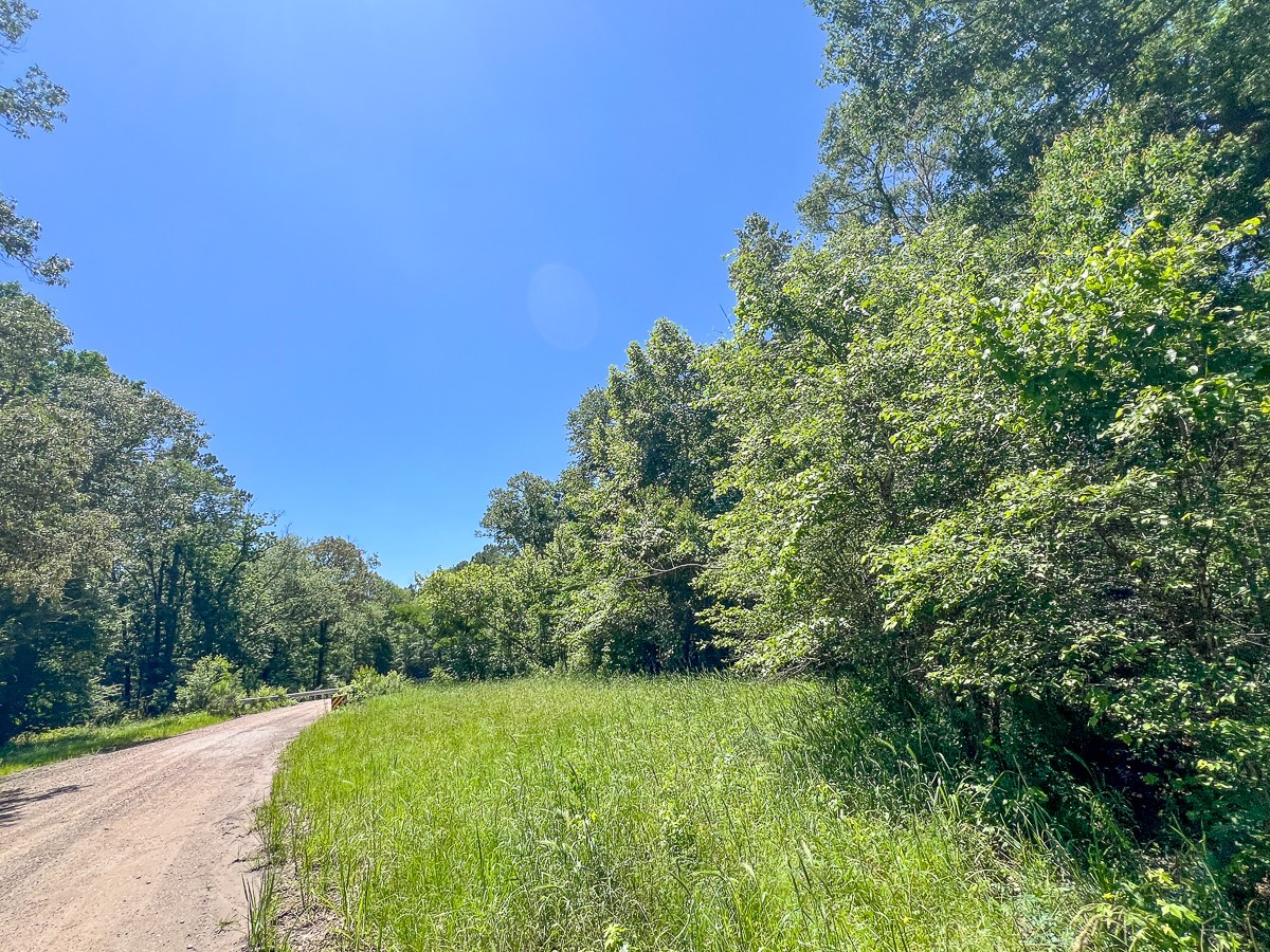 11 Howell Road Corrigan, TX 75939 - Photo 4 of 17