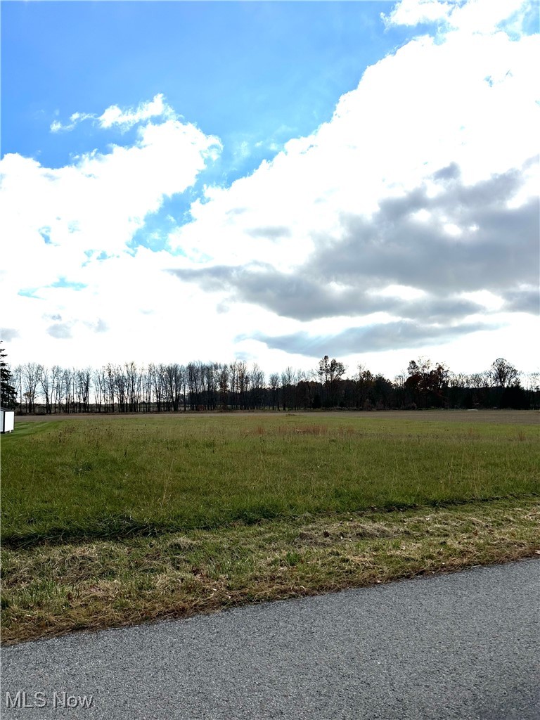 Fox Lake Road Sterling, OH 44276 - Photo 5 of 6 View of landscape featuring a rural view