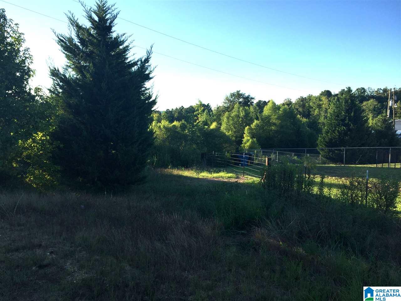5511 Rock Springs Road Gadsden, AL 35905 - Photo 36 of 38