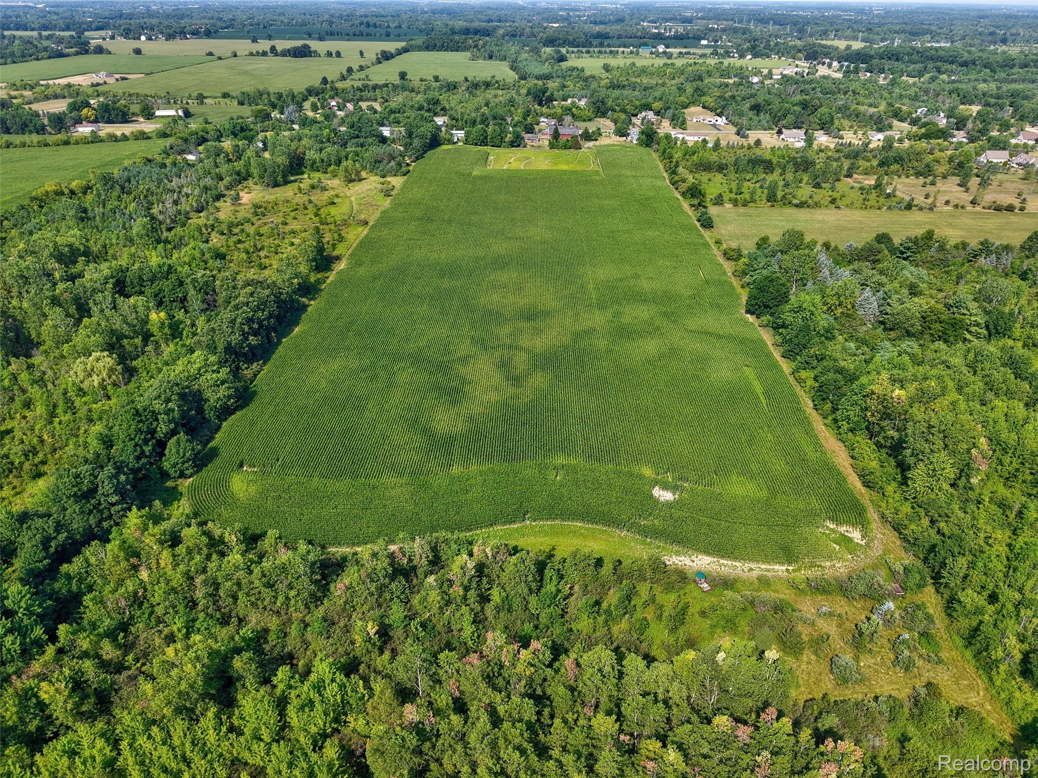 1175 South Morrish Road Flint, MI 48532 - Photo 11 of 72 Expansive agricultural land surrounded by dense tree lines