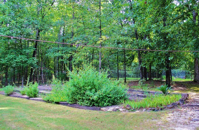 136 Kingson Road Fortson, GA 31808 - Photo 27 of 28 LANDSCAPING
