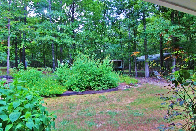 136 Kingson Road Fortson, GA 31808 - Photo 28 of 28 LANDSCAPING