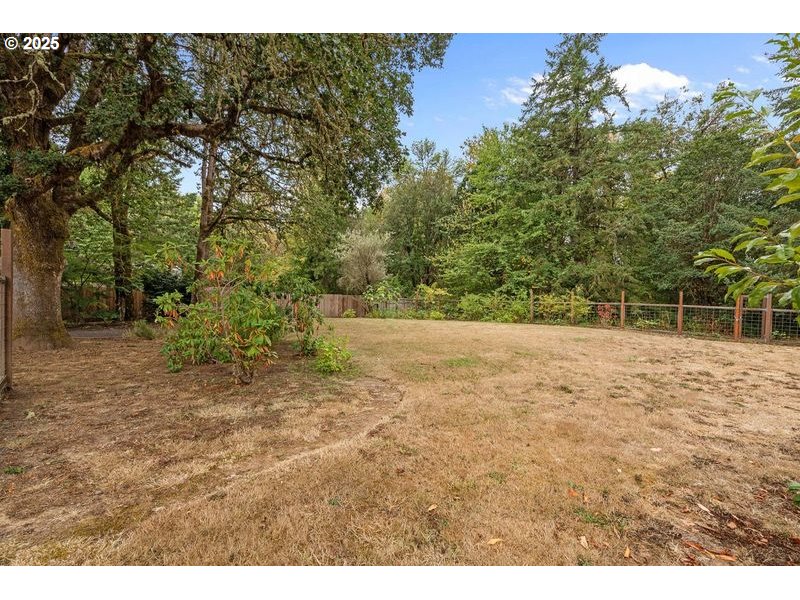 24781 Dunham Road Veneta, OR 97487 - Photo 22 of 22 a view of a yard with a tree