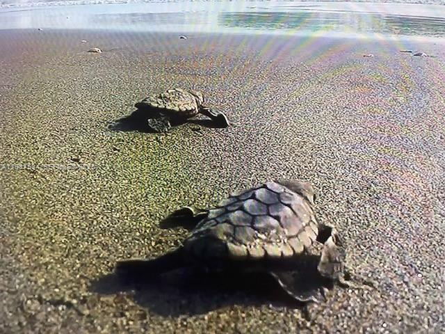 19670 South Beach Road, Unit B323 Tequesta, FL 33469 - Photo 24 of 31 a bathroom with a sink